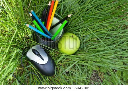 Computer-Maus und ein Glas mit einem Bleistift auf grünem Gras liegend