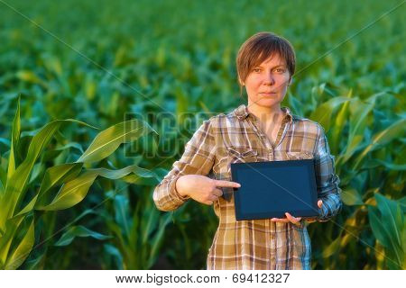 Agronomist With Tablet Computer In Corn Field