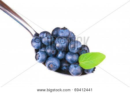 Blueberry
