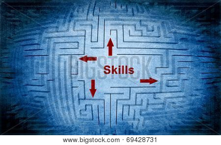 Skills Maze