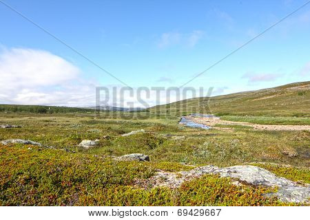 Tundra Landscape