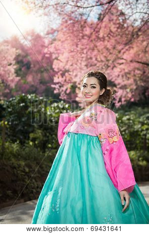 Hanbok: The Traditional Korean Dress And Beautiful Asian Girl With Sakura