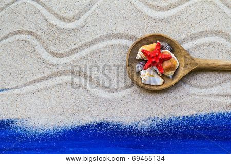 Shells Colored Spoon Beach Sand
