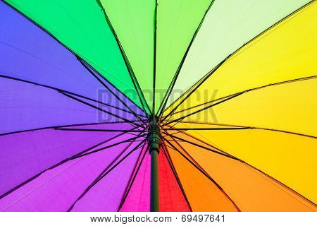 Color pattern of an umbrella