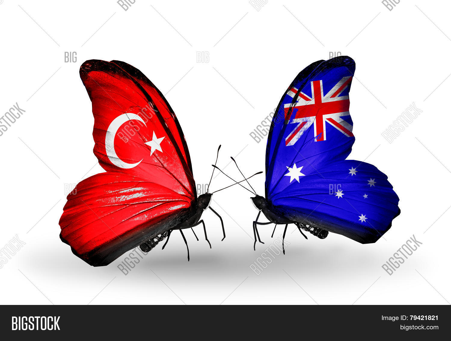 Two Butterflies Flags Image & Photo (Free Trial) Bigstock
