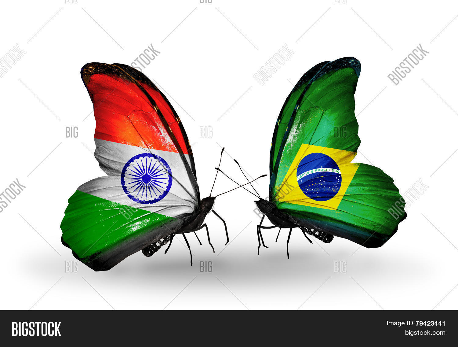 Two Butterflies Flags Image & Photo (Free Trial) | Bigstock