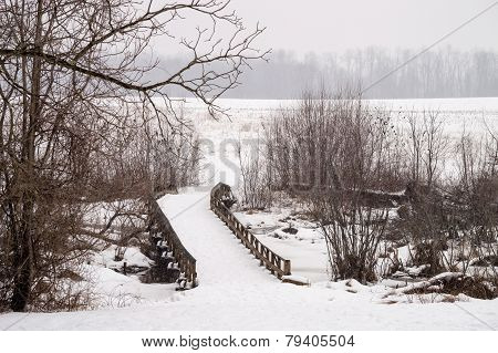 Winter Bridge