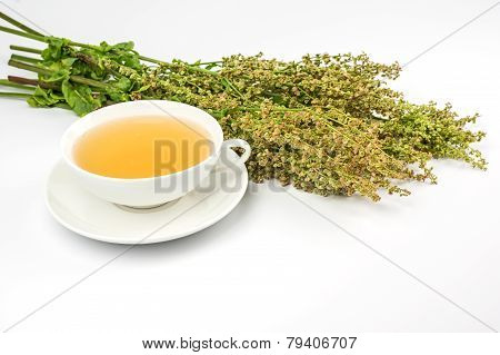 Cup with sorrel tea