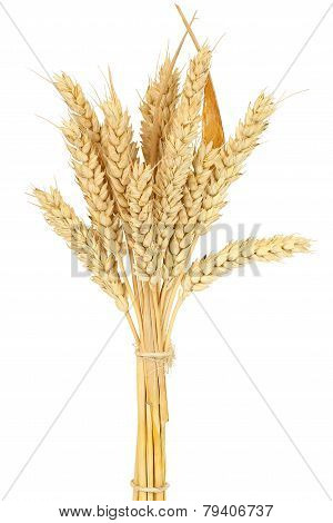 Wheat Bundle