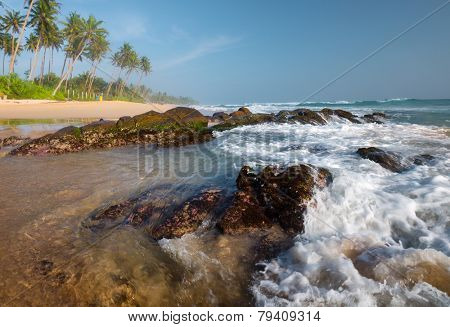 Sandy beach with palm trees and ocean with waves. Midigama beach, Sri Lanka