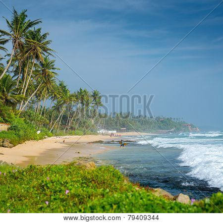 Sandy beach with palm trees and ocean with waves. Midigama beach, Sri Lanka