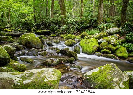 Roaring Fork