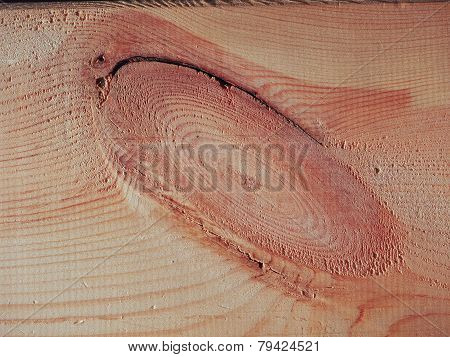 Pine Wood Background