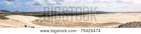 Sand Dunes In Viana Desert - Deserto De Viana In Boavista - Cape Verde - Cabo Verde
