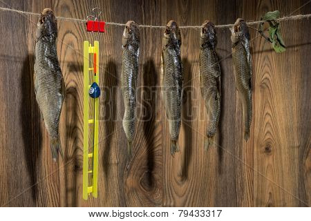 Dried Roach - Vobla And Fishing Equipment With Float