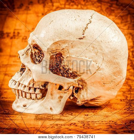 Human skull on old map