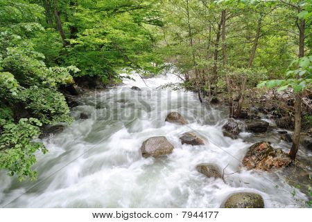 Ruscello di montagna