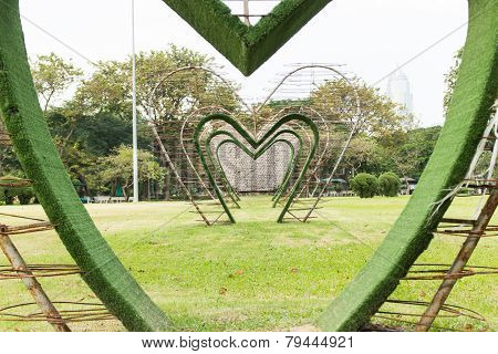 Tree Love
