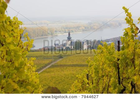 Oppenheim Rheingau Niemcy