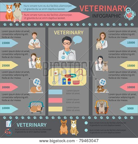Veterinary Infographic Set