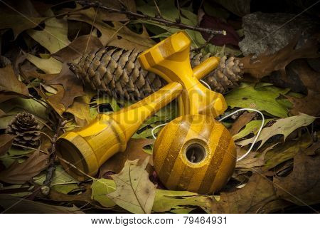 Kendama In An Autumnal Composition