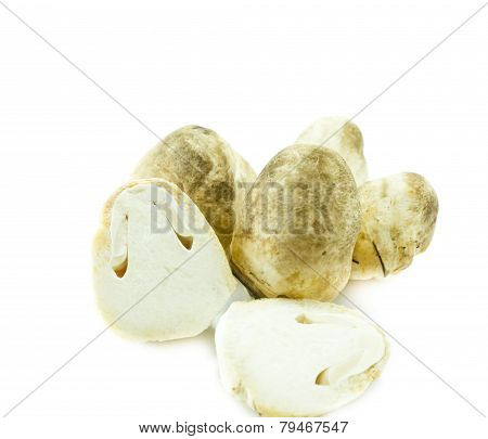 Straw Mushroom On White Background