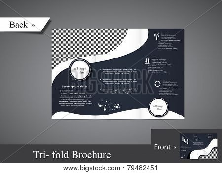 Tri Fold Brochure
