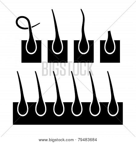 Hair Follicle Icons Set. Vector