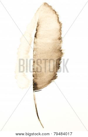 feather