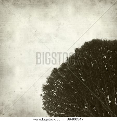 Textured Old Paper Background