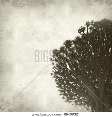 Textured Old Paper Background