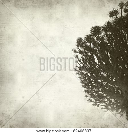 Textured Old Paper Background