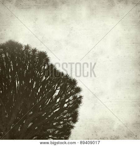 Textured Old Paper Background