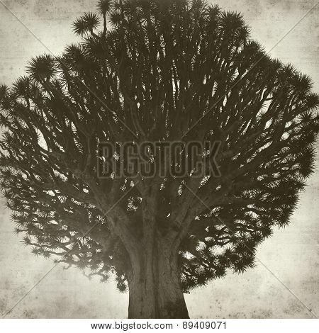 Textured Old Paper Background