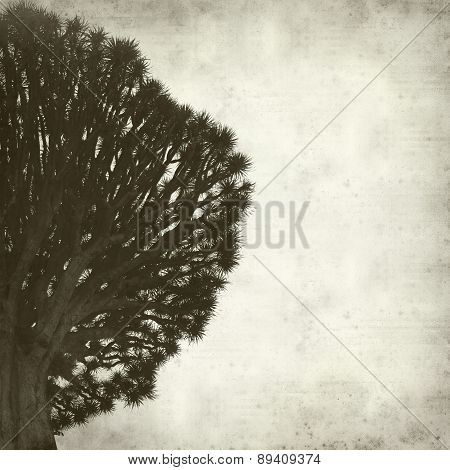 Textured Old Paper Background