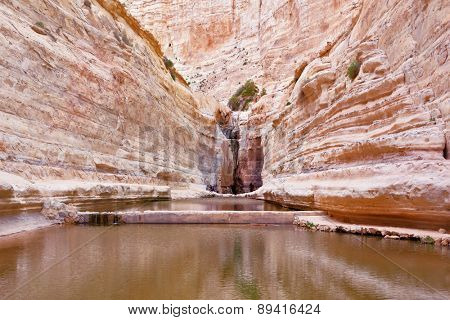 Canyon Ein Avdat in Israel. Sandstone canyon walls form a round bowl. Thin jet waterfall form cold lake