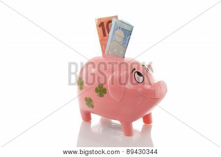Pink Money Pigg With Euro