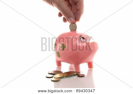 Pink Money Pigg With Euro