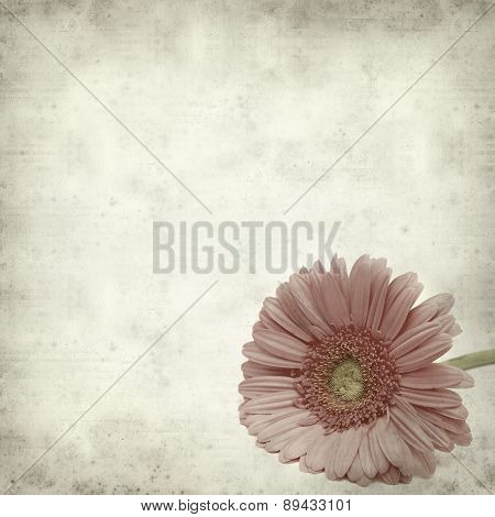 Textured Old Paper Background