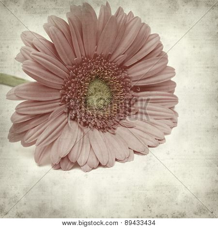 Textured Old Paper Background