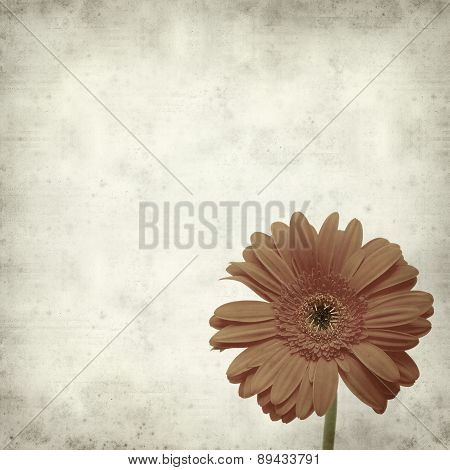 Textured Old Paper Background