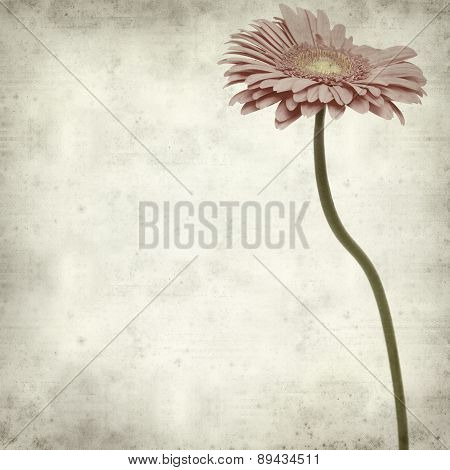 Textured Old Paper Background