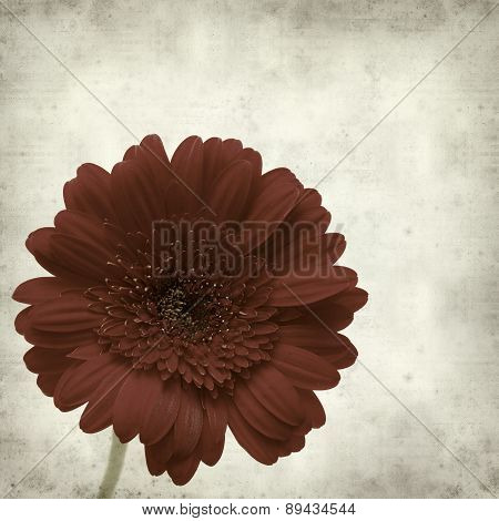 Textured Old Paper Background