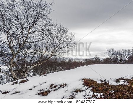 Landscape In Norway Under Snow