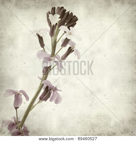Textured Old Paper Background
