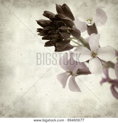 Textured Old Paper Background