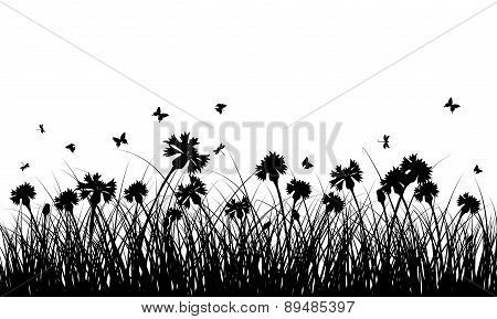 Meadow Background