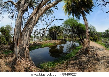 Trails In Keoladeo National Park