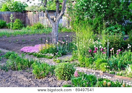 Cottage garden