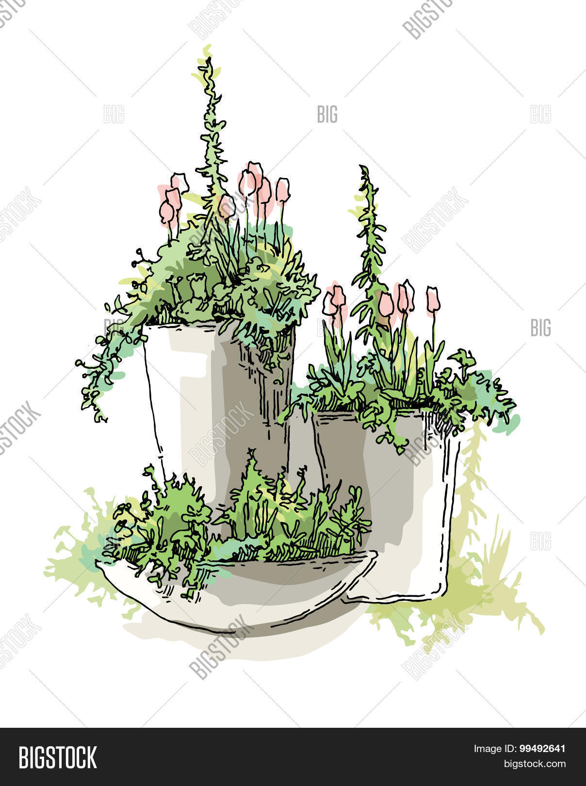 Image Preview
